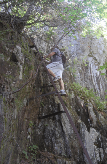 Screen Shot 2016-08-18 at 1.55.01 PM.png