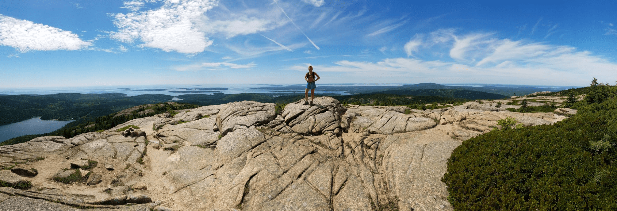 Screen Shot 2016-08-18 at 2.00.28 PM.png