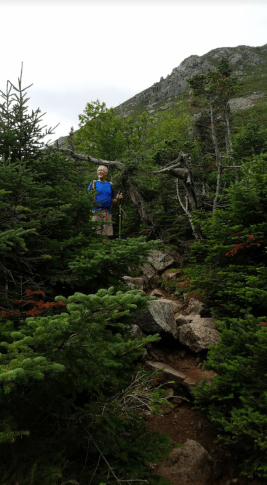 Screen Shot 2016-08-18 at 2.47.13 PM.png