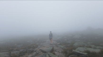 Screen Shot 2016-08-18 at 3.03.53 PM.png