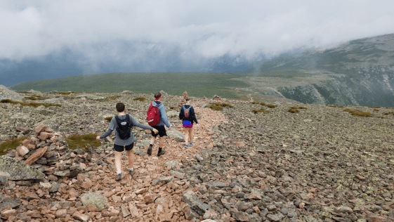 Screen Shot 2016-08-18 at 3.15.14 PM.png