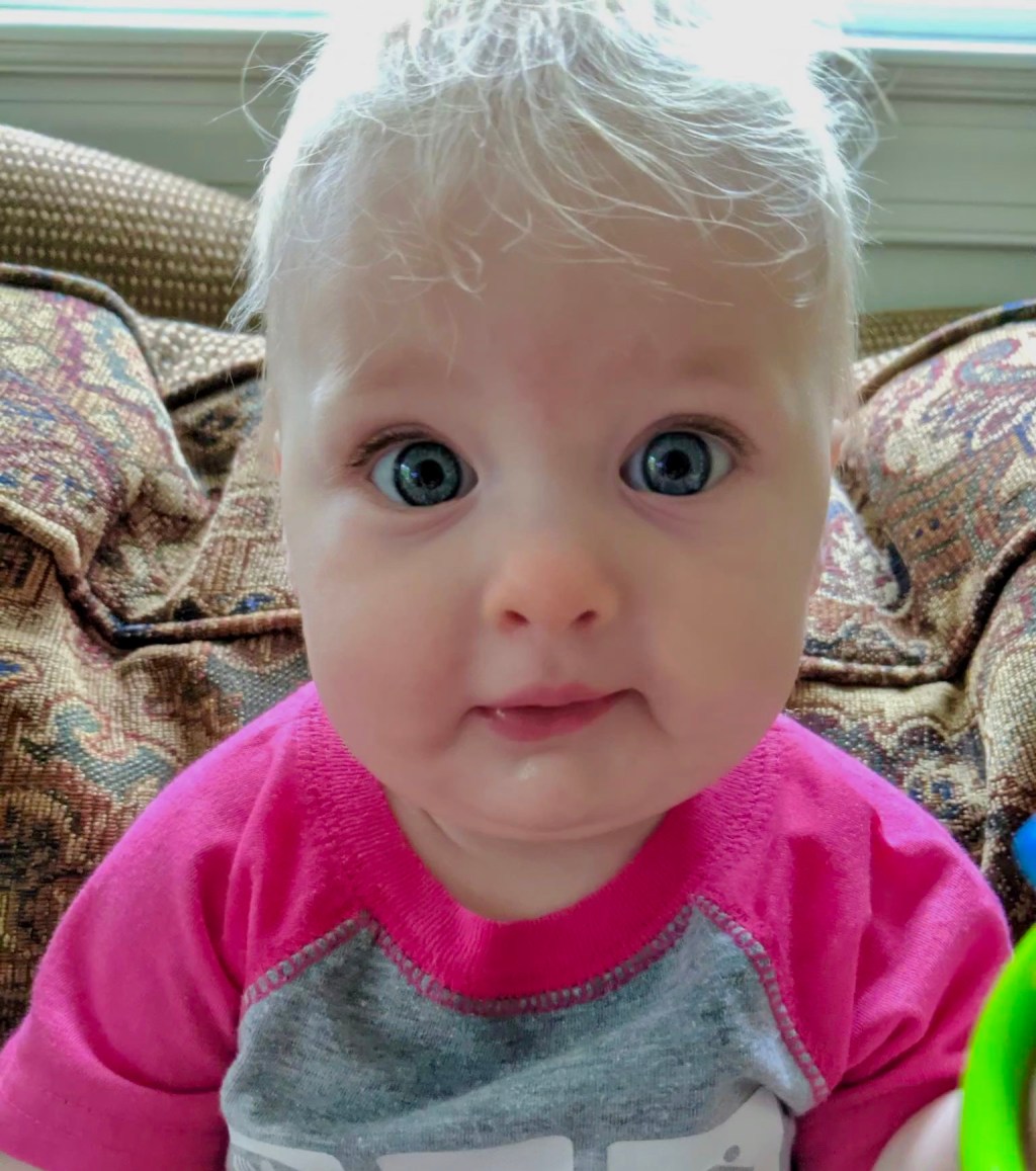 A Year in&nbsp;Review